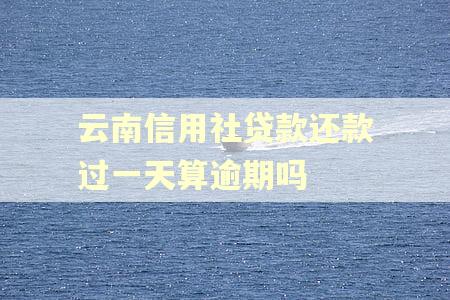 云南信用社贷款还款过一天算逾期吗