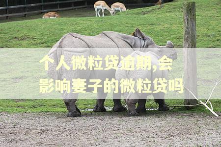 个人微粒贷逾期,会影响妻子的微粒贷吗