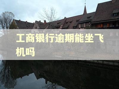工商银行逾期能坐飞机吗