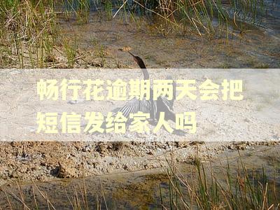 畅行花逾期两天会把短信发给家人吗