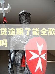 网贷逾期了能全款买车吗