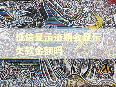 征信显示逾期会显示欠款金额吗