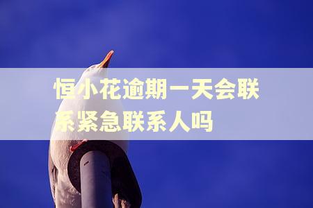 恒小花逾期一天会联系紧急联系人吗 恒小花逾期一天会联系紧急联系人吗