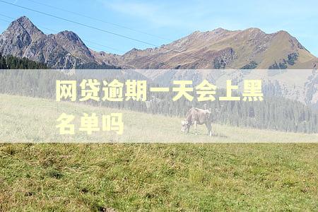 网贷逾期一天会上黑名单吗 网贷逾期一天会上黑名单吗