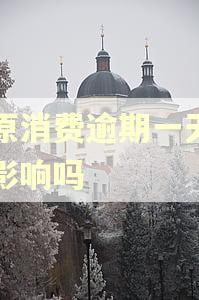 中原消费逾期一天会有影响吗