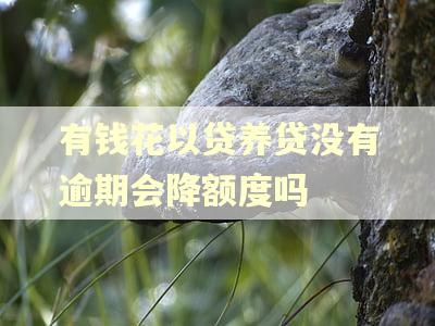 有钱花以贷养贷没有逾期会降额度吗