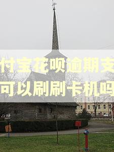 支付宝花呗逾期支付宝可以刷刷卡机吗 支付宝花呗逾期支付宝可以刷刷卡机吗