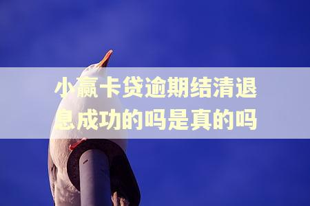 小赢卡贷逾期结清退息成功的吗是真的吗 小赢卡贷逾期结清退息成功的吗是真的吗