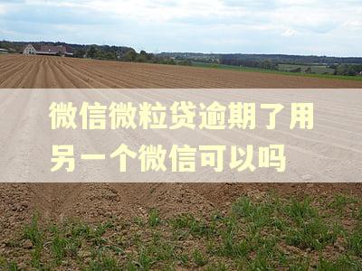 微信微粒贷逾期了用另一个微信可以吗 微信微粒贷逾期了用另一个微信可以吗
