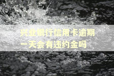 兴业银行信用卡逾期一天会有违约金吗