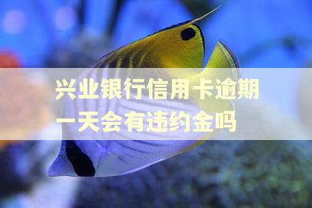兴业银行信用卡逾期一天会有违约金吗 兴业银行信用卡逾期一天会有违约金吗