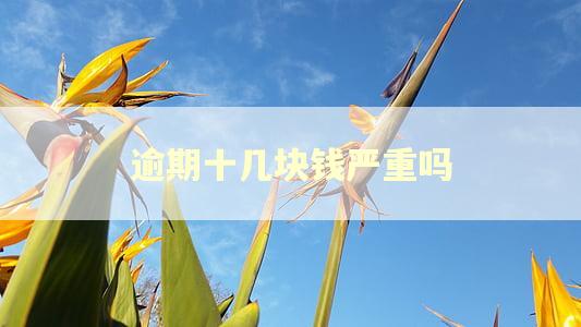 逾期十几块钱严重吗