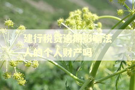 建行税贷逾期影响法人的个人财产吗