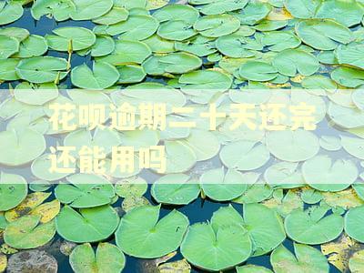 花呗逾期二十天还完还能用吗