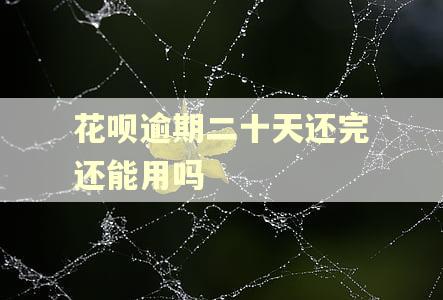 花呗逾期二十天还完还能用吗 花呗逾期二十天还完还能用吗