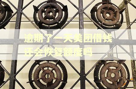 逾期了一天美团借钱还会恢复额度吗