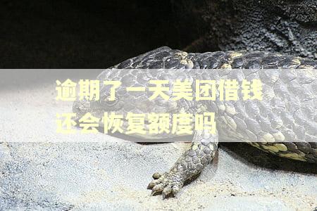 逾期了一天美团借钱还会恢复额度吗