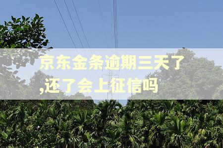 京东金条逾期三天了,还了会上征信吗