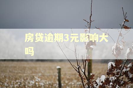 房贷逾期3元影响大吗