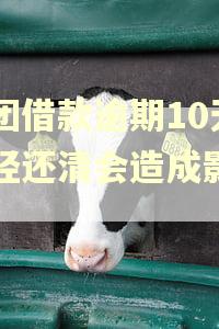 美团借款逾期10天已经还清会造成影响吗
