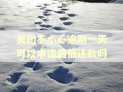 美团不小心逾期一天可以申请最低还款吗