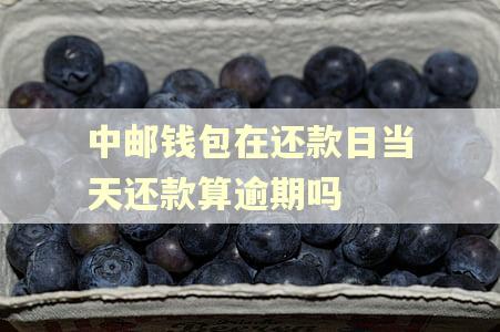 中邮钱包在还款日当天还款算逾期吗 中邮钱包在还款日当天还款算逾期吗
