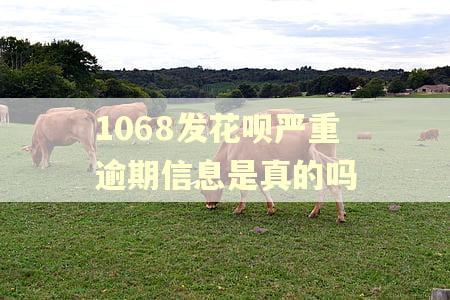 1068发花呗严重逾期信息是真的吗