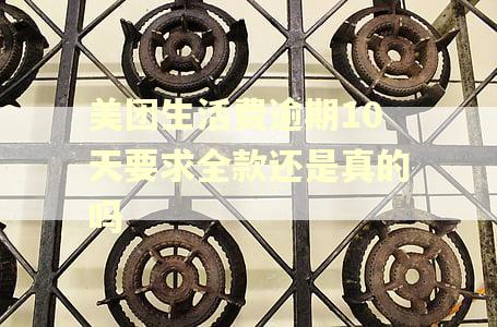 美团生活费逾期10天要求全款还是真的吗