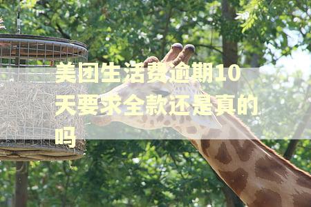 美团生活费逾期10天要求全款还是真的吗