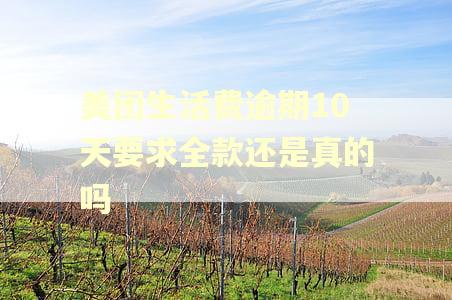 美团生活费逾期10天要求全款还是真的吗 美团生活费逾期10天要求全款还是真的吗