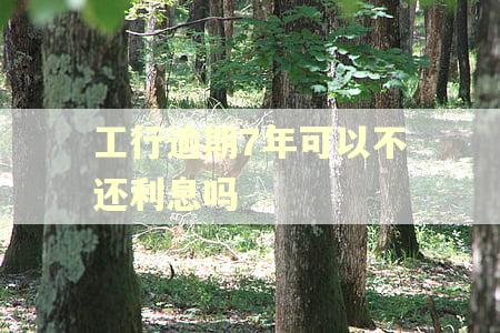 工行逾期7年可以不还利息吗