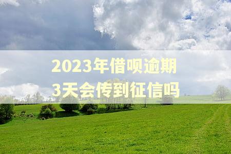 2023年借呗逾期3天会传到征信吗 2023年借呗逾期3天会传到征信吗