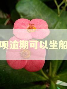 借呗逾期可以坐船吗