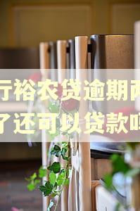 建行裕农贷逾期两个月了还可以贷款吗