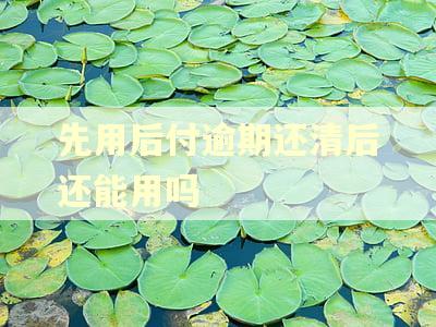 先用后付逾期还清后还能用吗