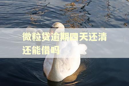 微粒贷逾期四天还清还能借吗