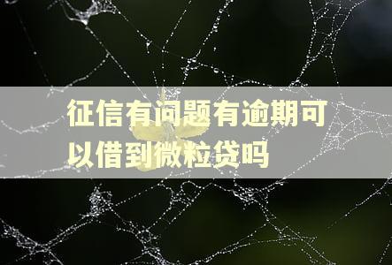 征信有问题有逾期可以借到微粒贷吗