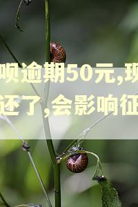 花呗逾期50元,现在还了,会影响征信吗