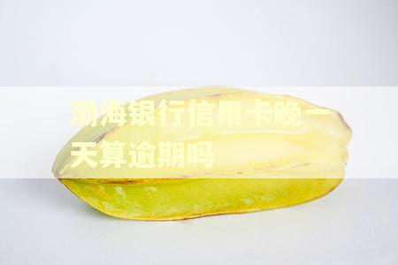 渤海银行信用卡晚一天算逾期吗