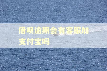 借呗逾期会有客服加支付宝吗