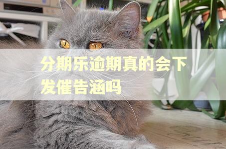 分期乐逾期真的会下发催告涵吗