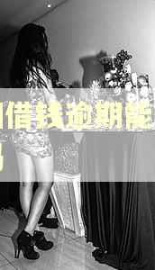 美团借钱逾期能做高铁吗