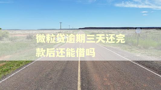微粒贷逾期三天还完款后还能借吗