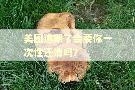 美团逾期了会要你一次性还清吗？