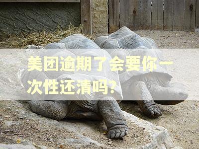美团逾期了会要你一次性还清吗？