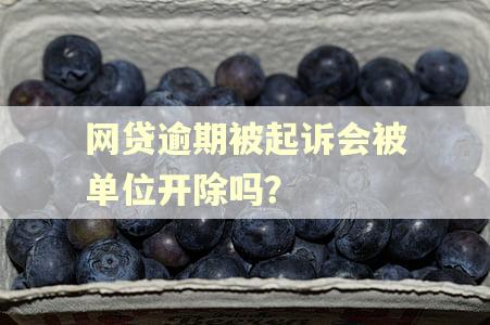 网贷逾期被起诉会被单位开除吗？