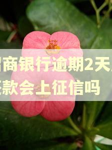 招商银行逾期2天后还款会上征信吗