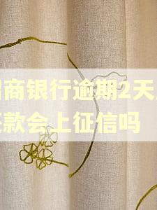 招商银行逾期2天后还款会上征信吗