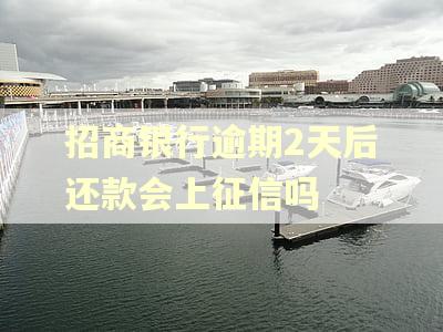 招商银行逾期2天后还款会上征信吗
