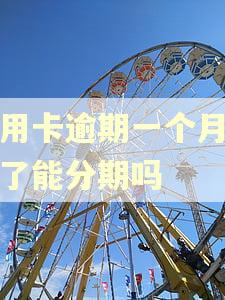 信用卡逾期一个月后还了能分期吗